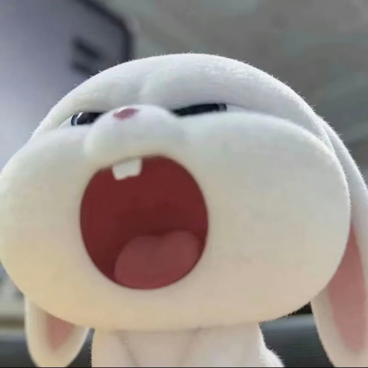 LHDpLP