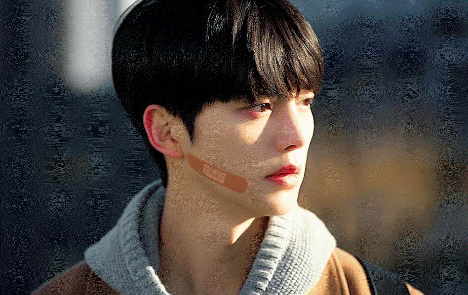 LHlwSH.gif