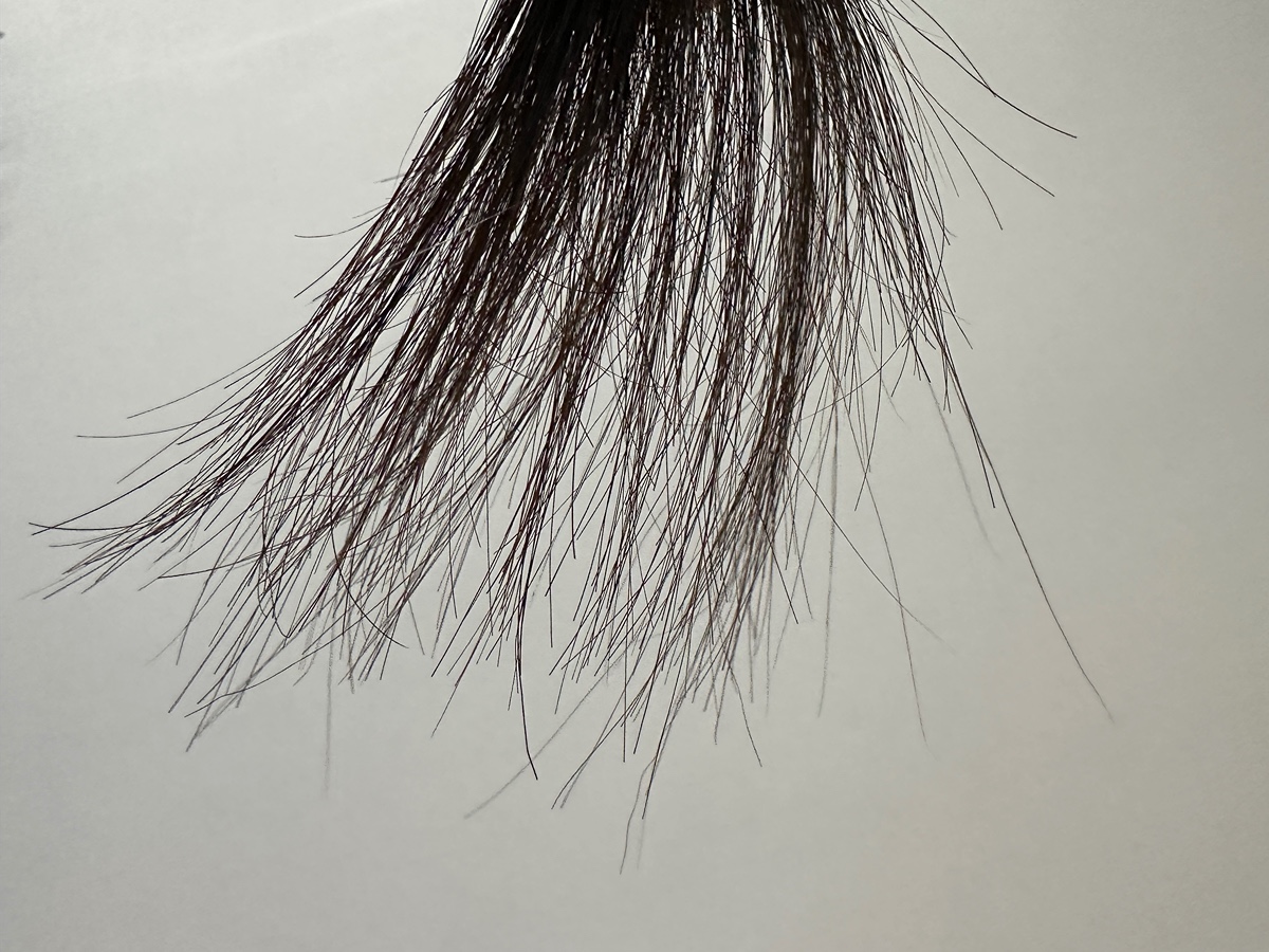 LIGCGI