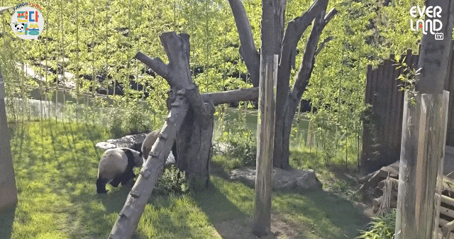 LJLSuB.gif