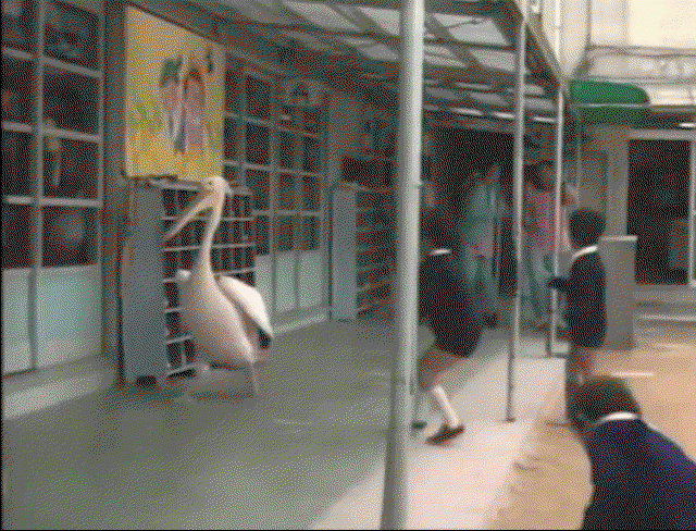 LJqLfl.gif