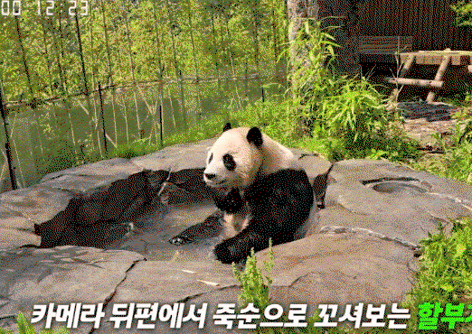 LKtljw.gif