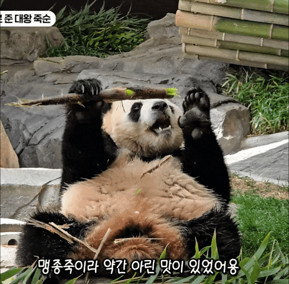 LNFouo.gif