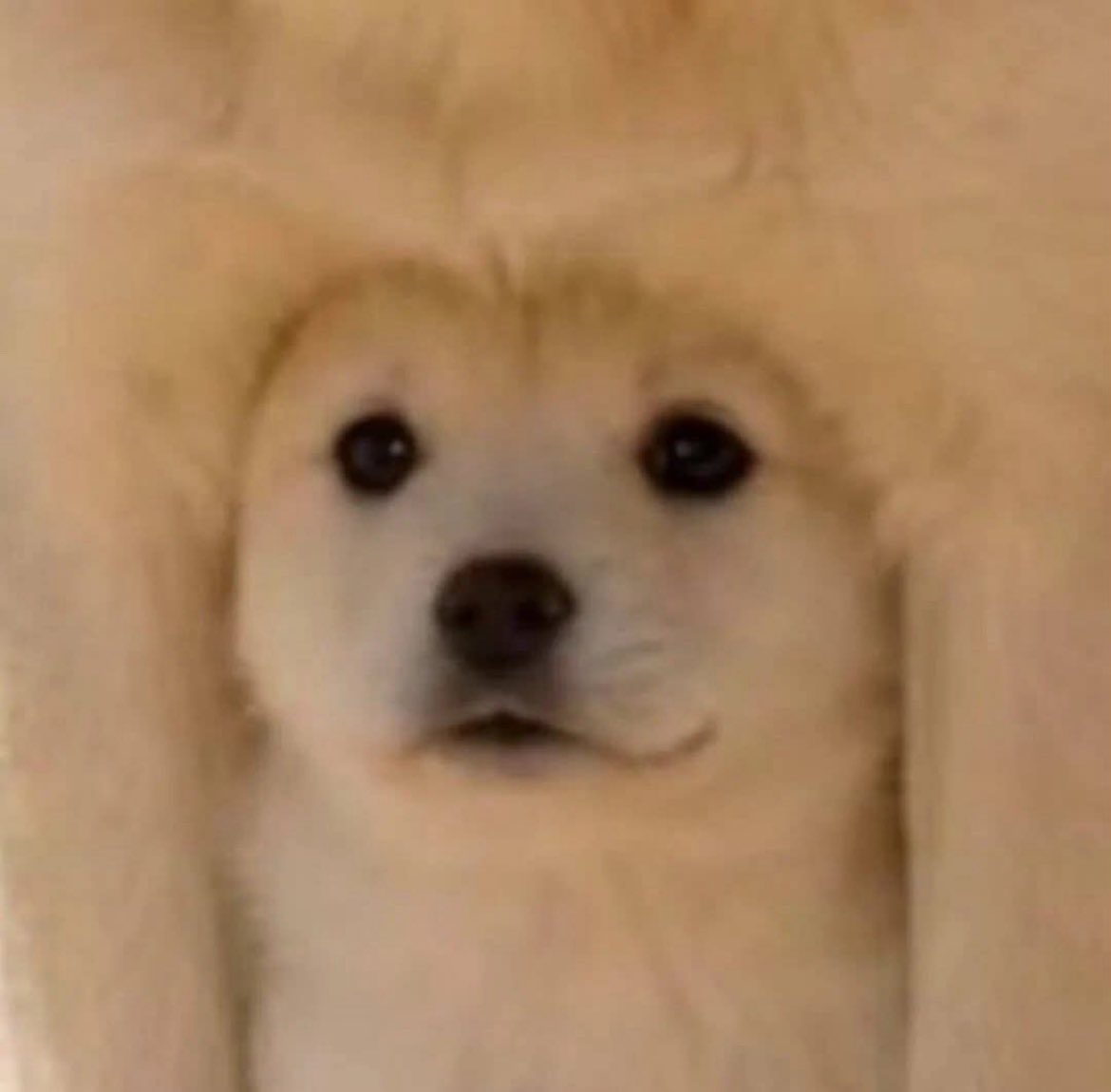 LSgxjE