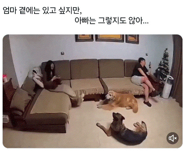 LTbABB.gif
