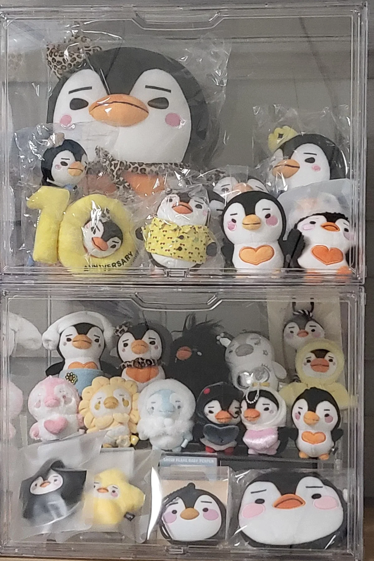 LTwqWM