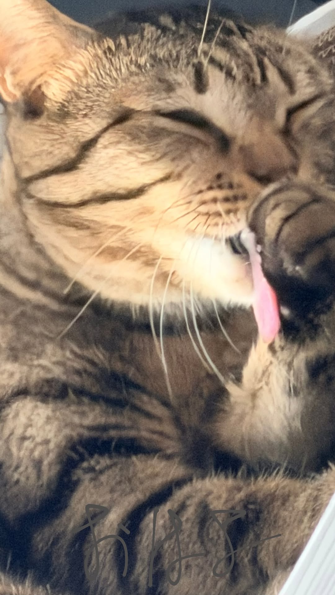 LUOORe