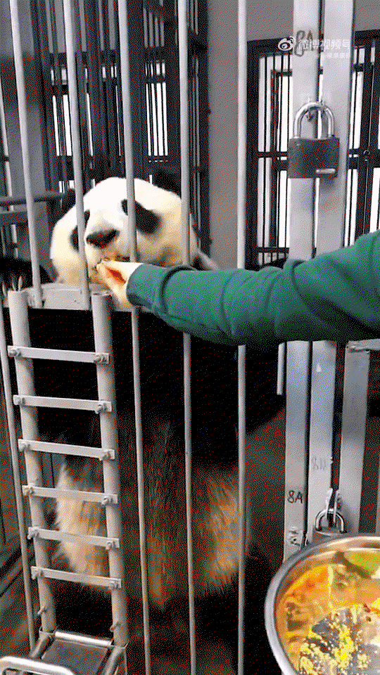 LVbBZd.gif