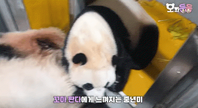 LVcbaR.gif