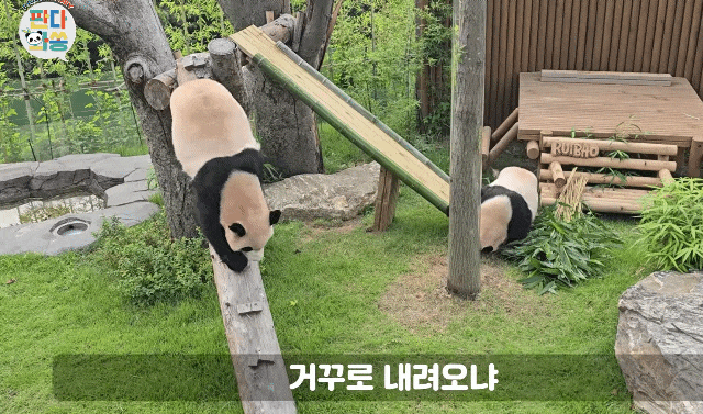 LVrBiK.gif
