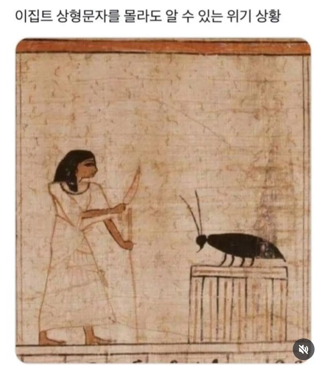LWBOoB