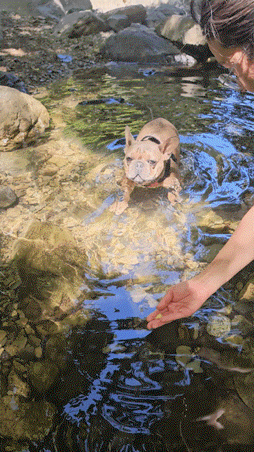 LbUCrk.gif