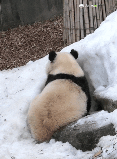 LdneWu.gif