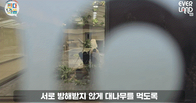 Ldtsqr.gif