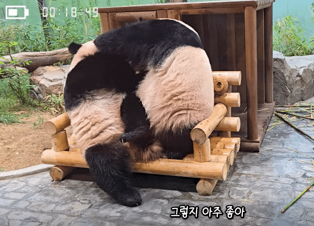 LmaUnC.gif