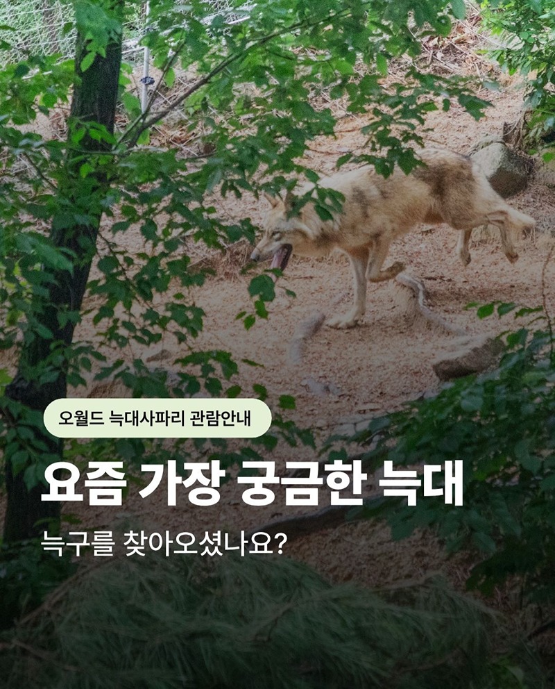 LnuEYV