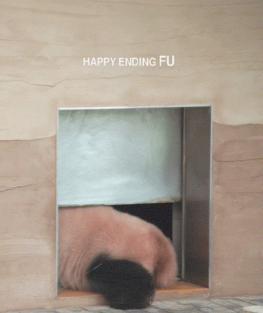 LoIbuS.gif