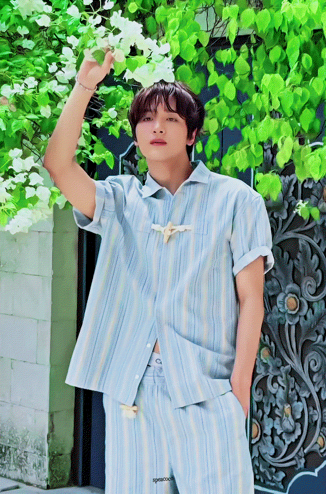 LoUovG.gif