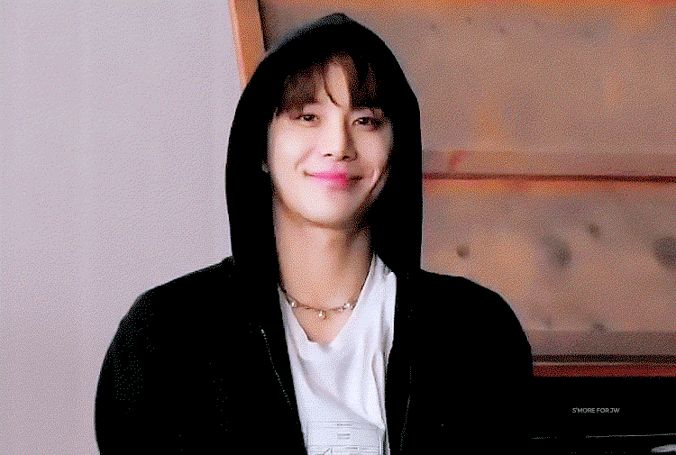 LoViSv.gif