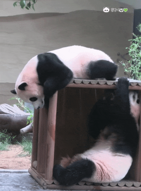 LpdJWI.gif