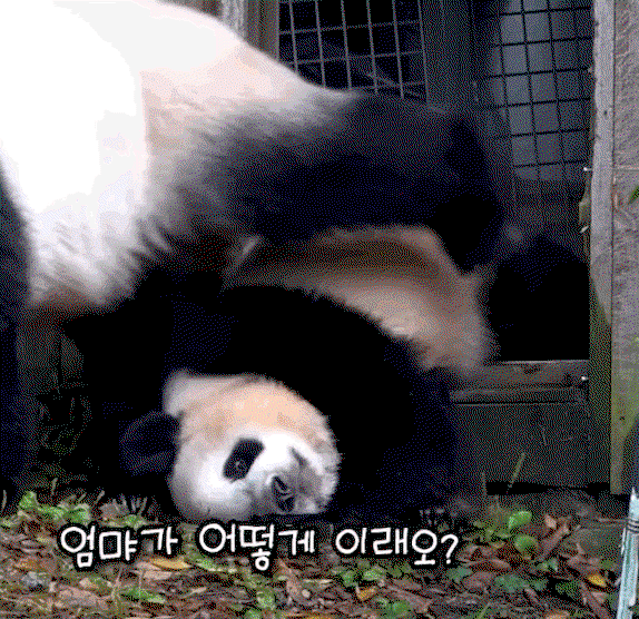 LrQcsz.gif