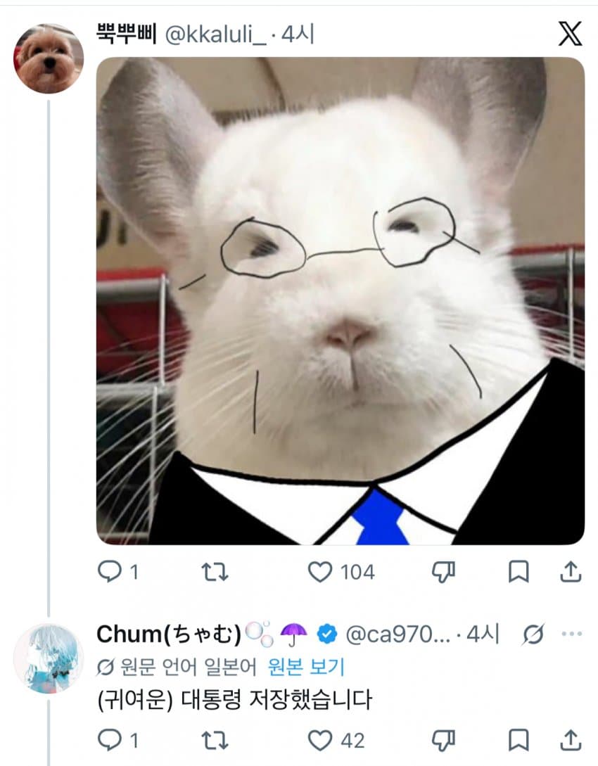 LrrIru
