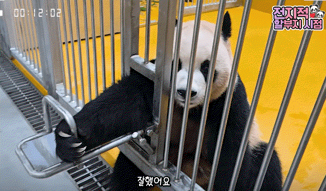 LszztI.gif