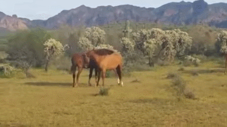 LtTcZn.gif