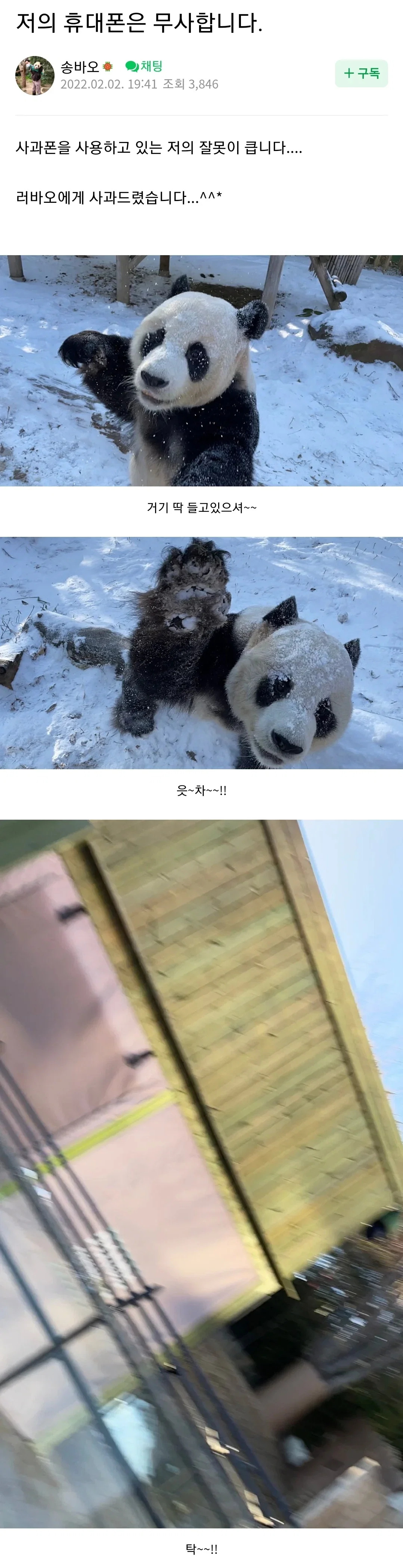 LtZPIg.webp