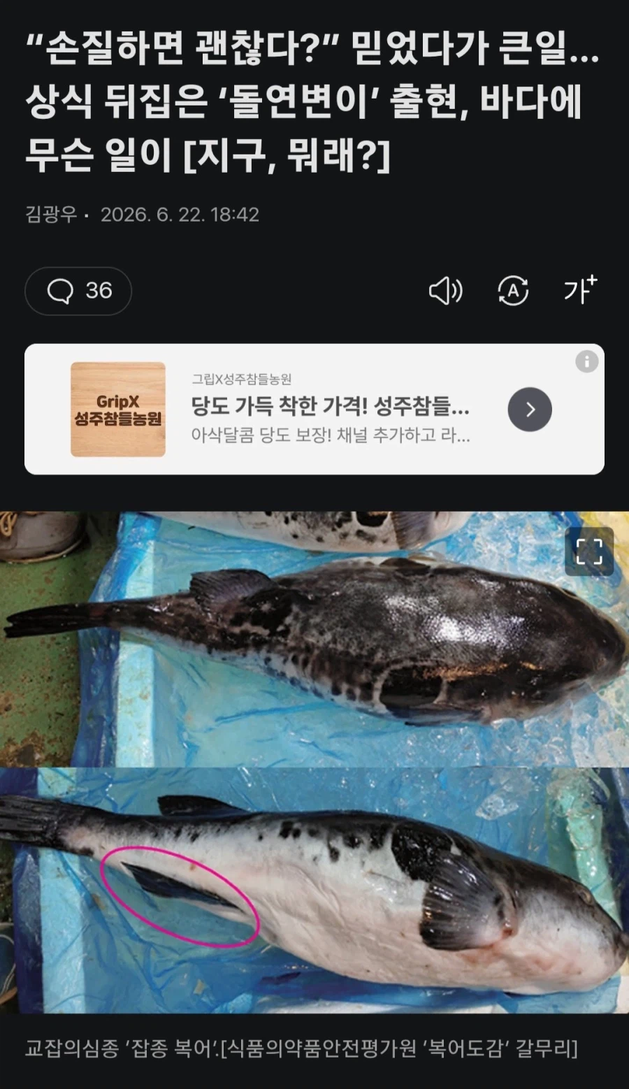 LuELXT