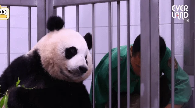 LwubAW