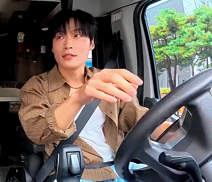 LxHemb.gif