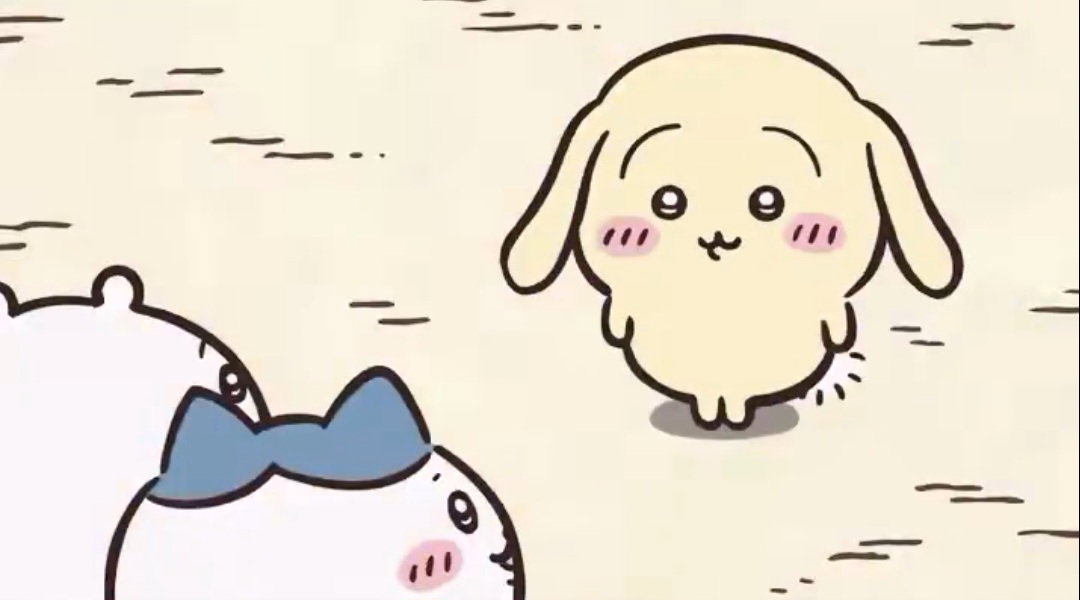 Lyducc