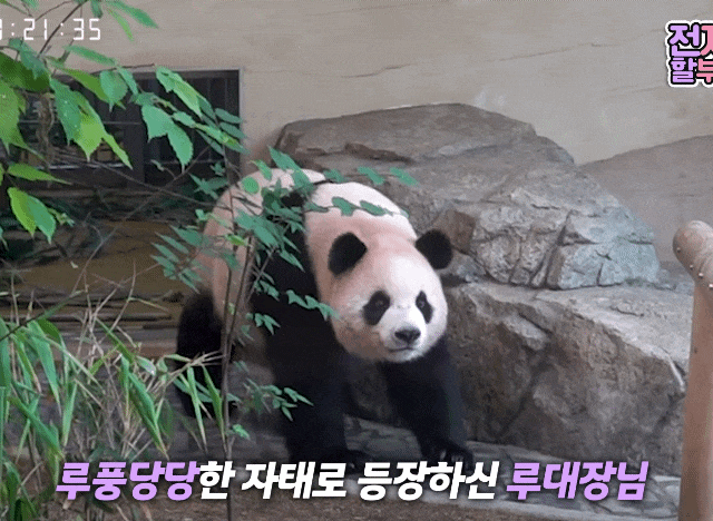 LznaYO.gif