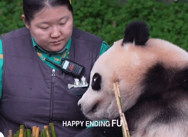 MAIPgf.gif