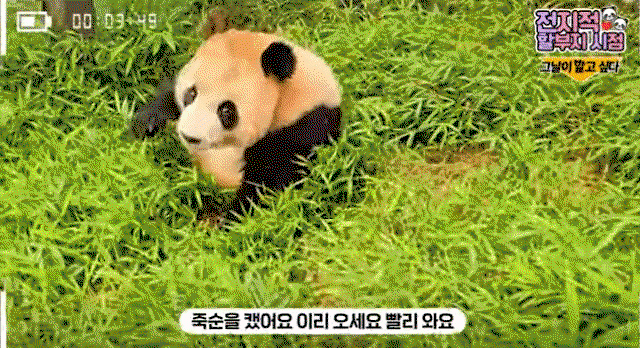 MCXBhv.gif