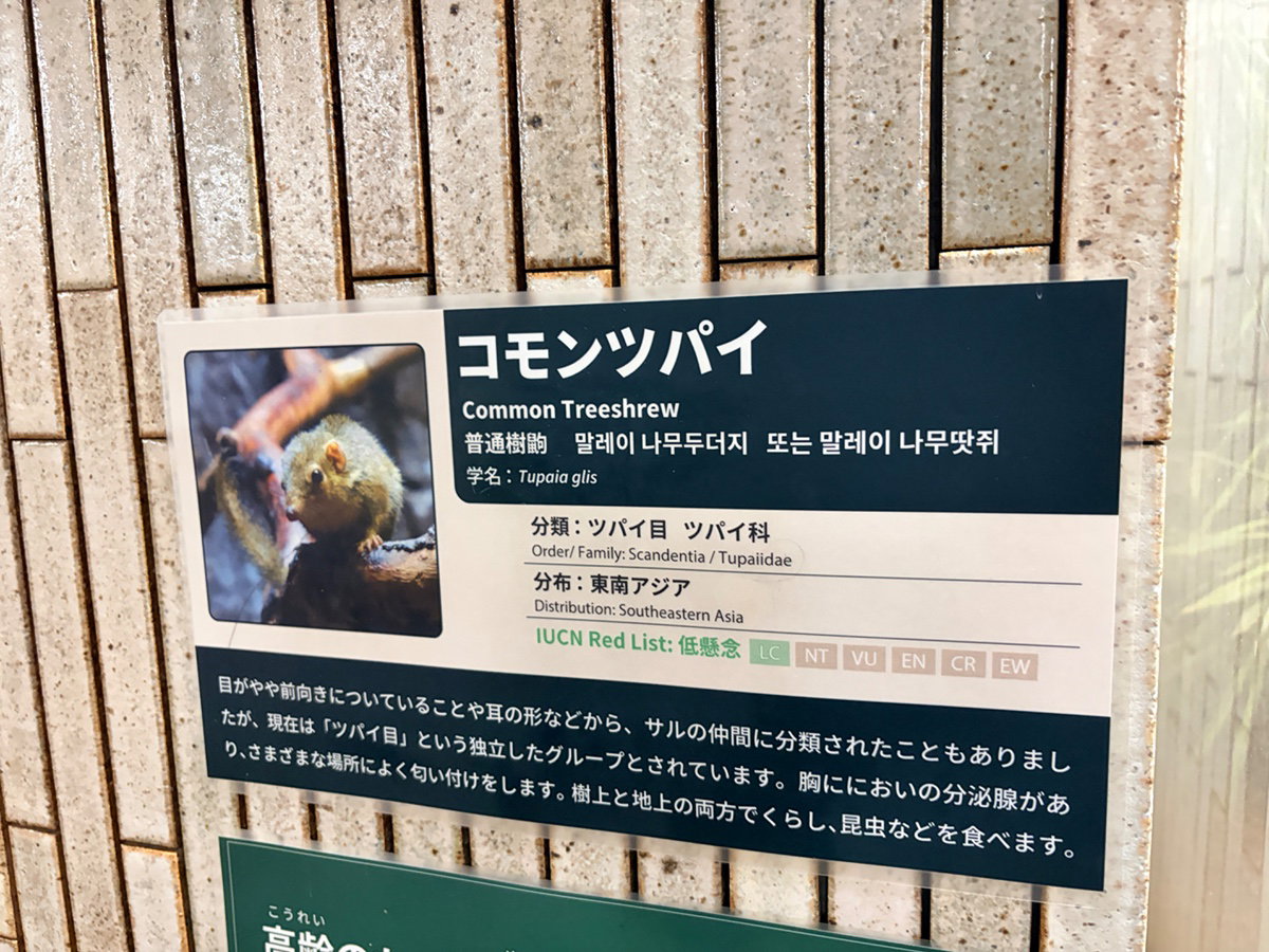 MDHxCp