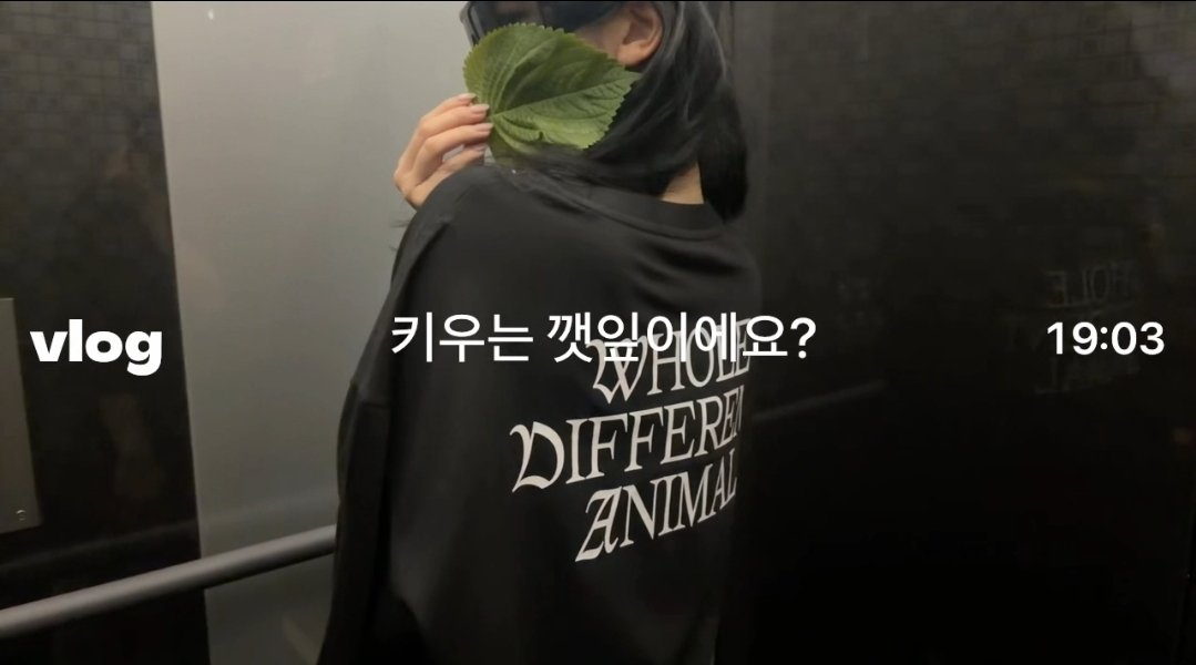 MFDJZL