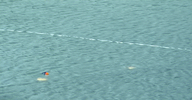 MLHAqN.gif