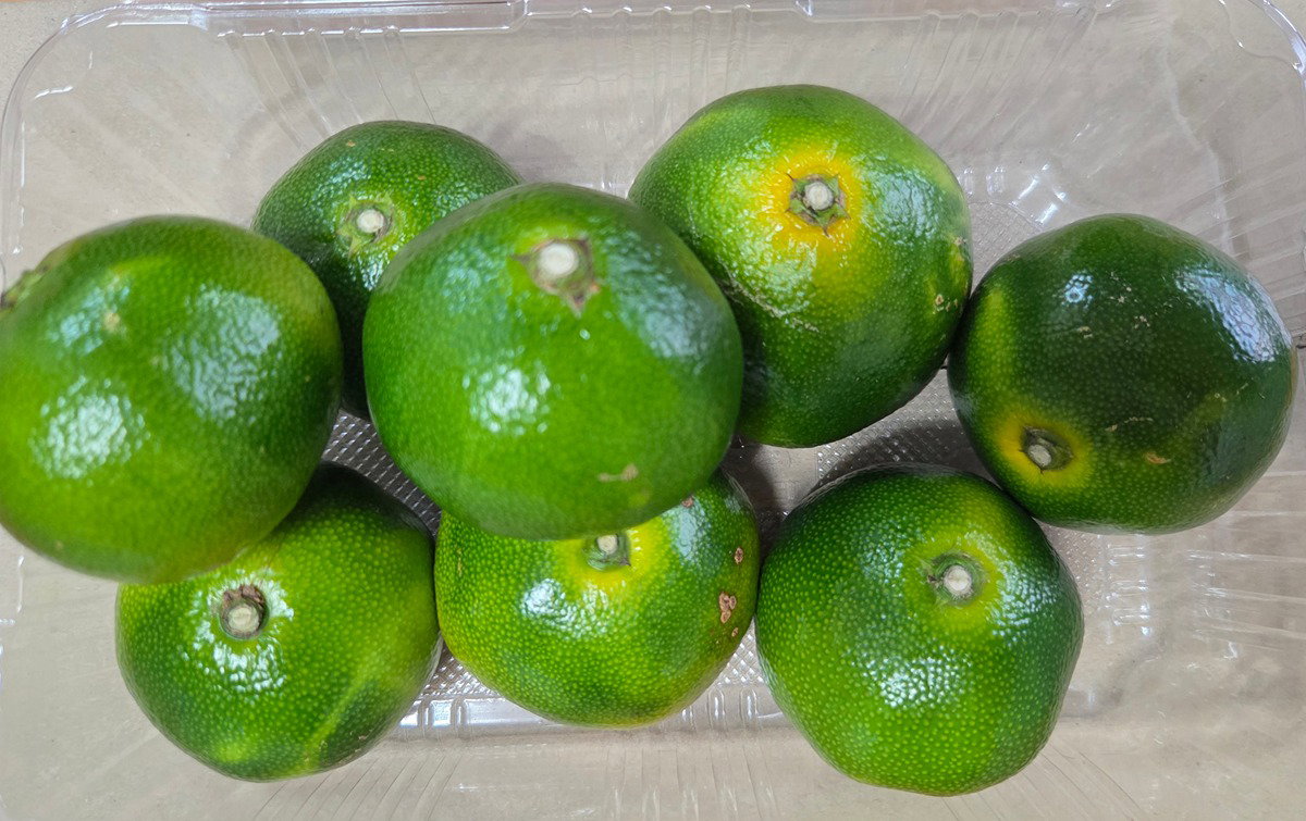 MMLUDM