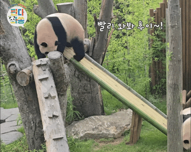 MOYIFR.gif