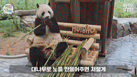 MQacfR.gif