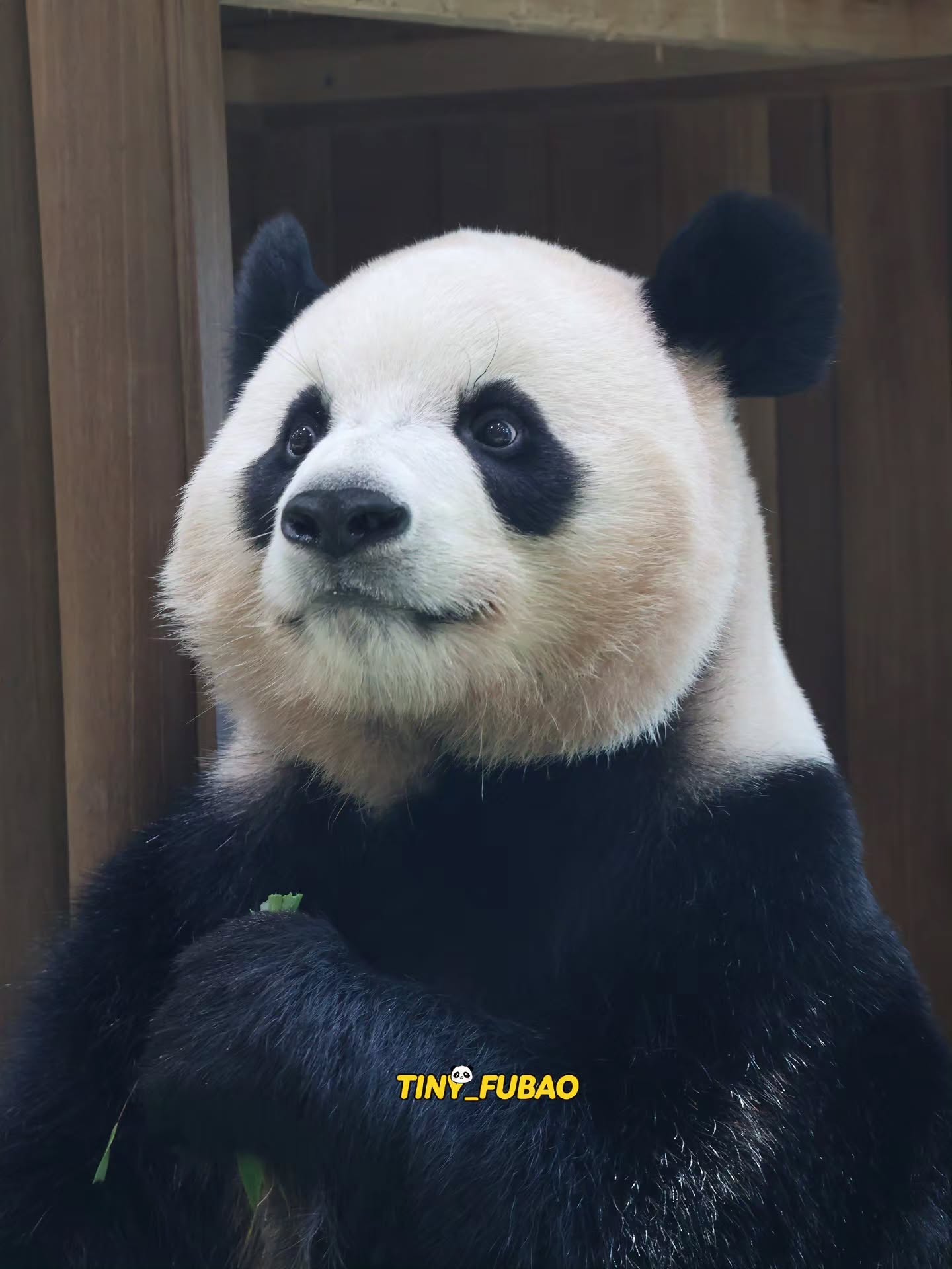 MQeEWo