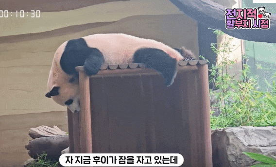MRHkGU.gif