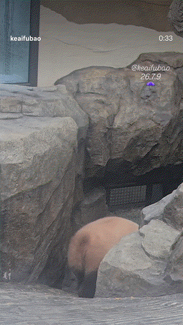 MRWcGp.gif