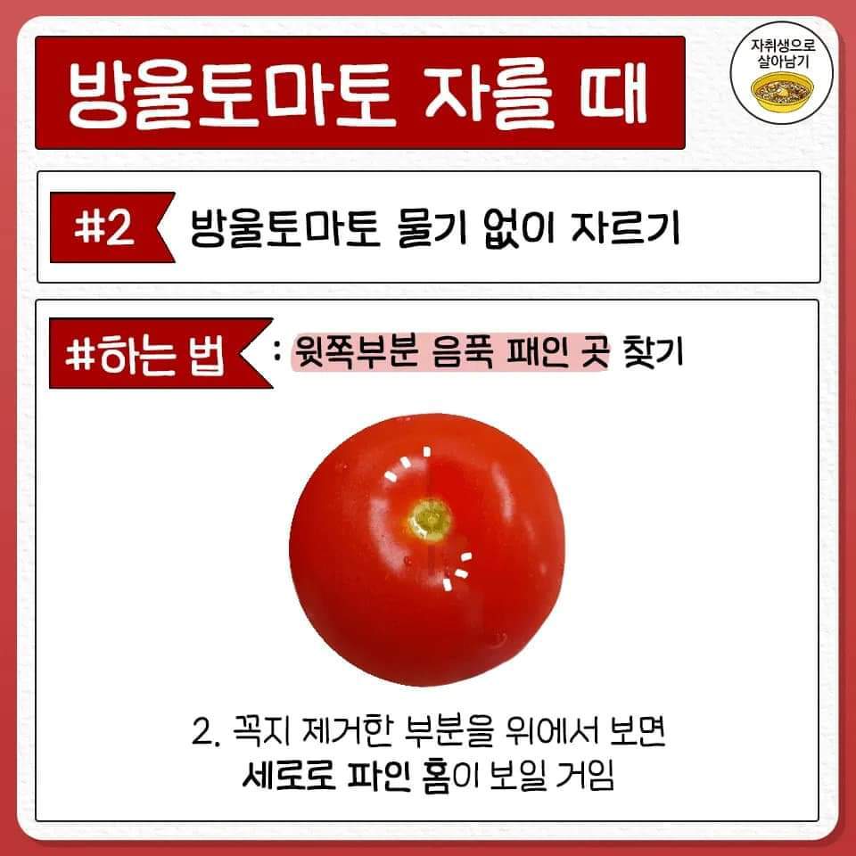 MTXfLp