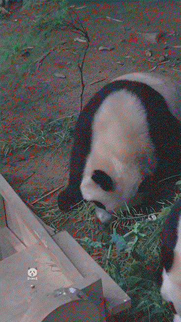 MWpxRx.gif