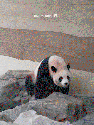 MYqAyR.gif