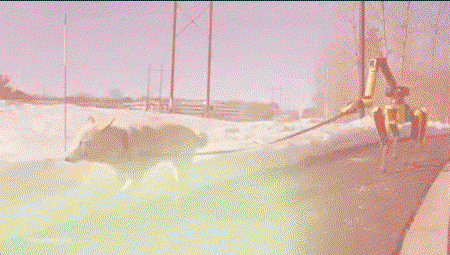McDIAc.gif
