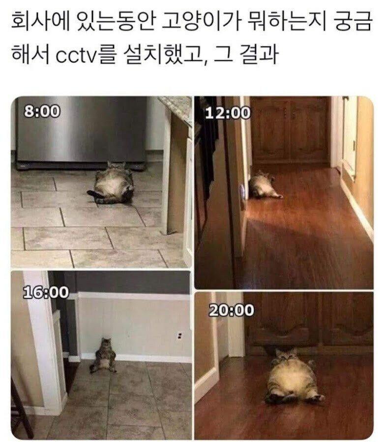 McXYlk